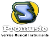 Logo promusicsnc.live